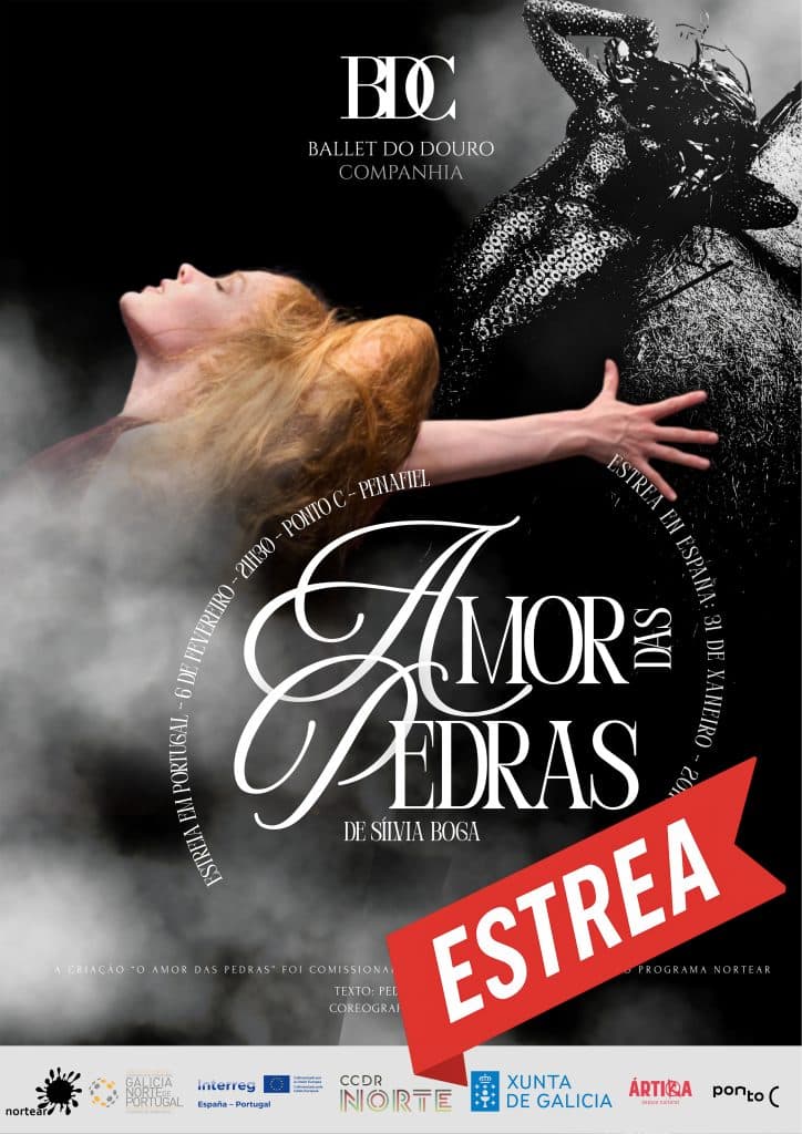 ÁRTIKA Ártika Vigo